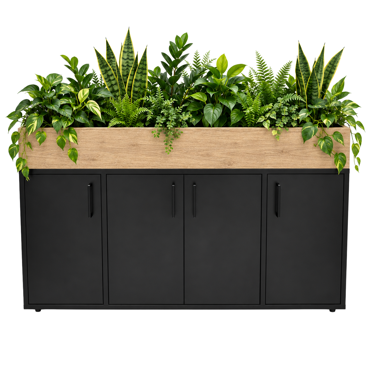 Cabinet with a plant box