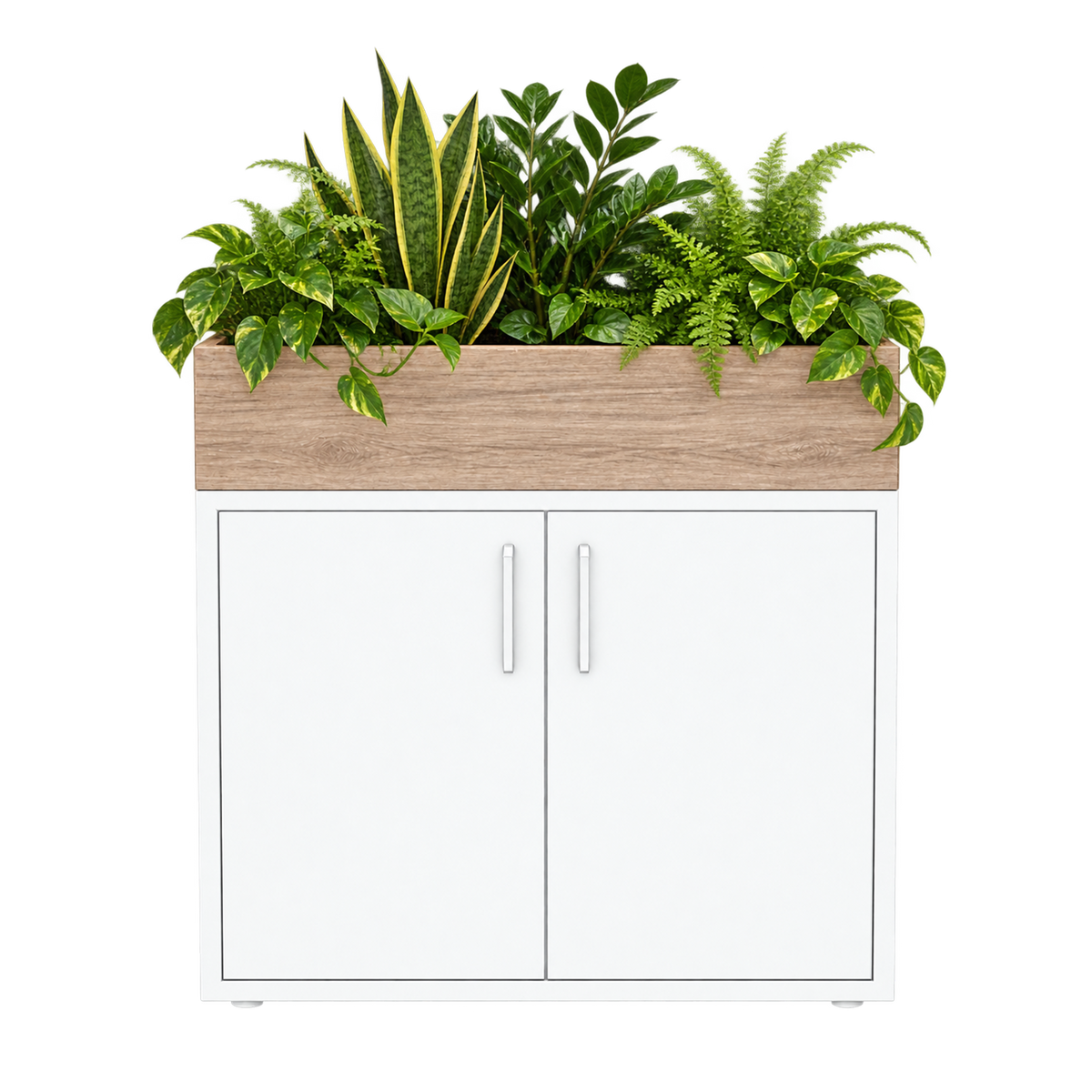 Kast met plantenbak 2 deuren