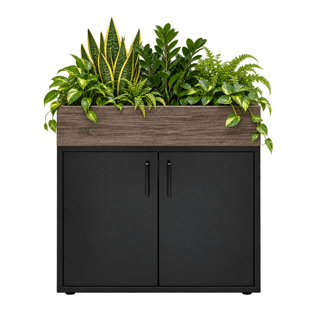 Kast met plantenbak 2 deuren