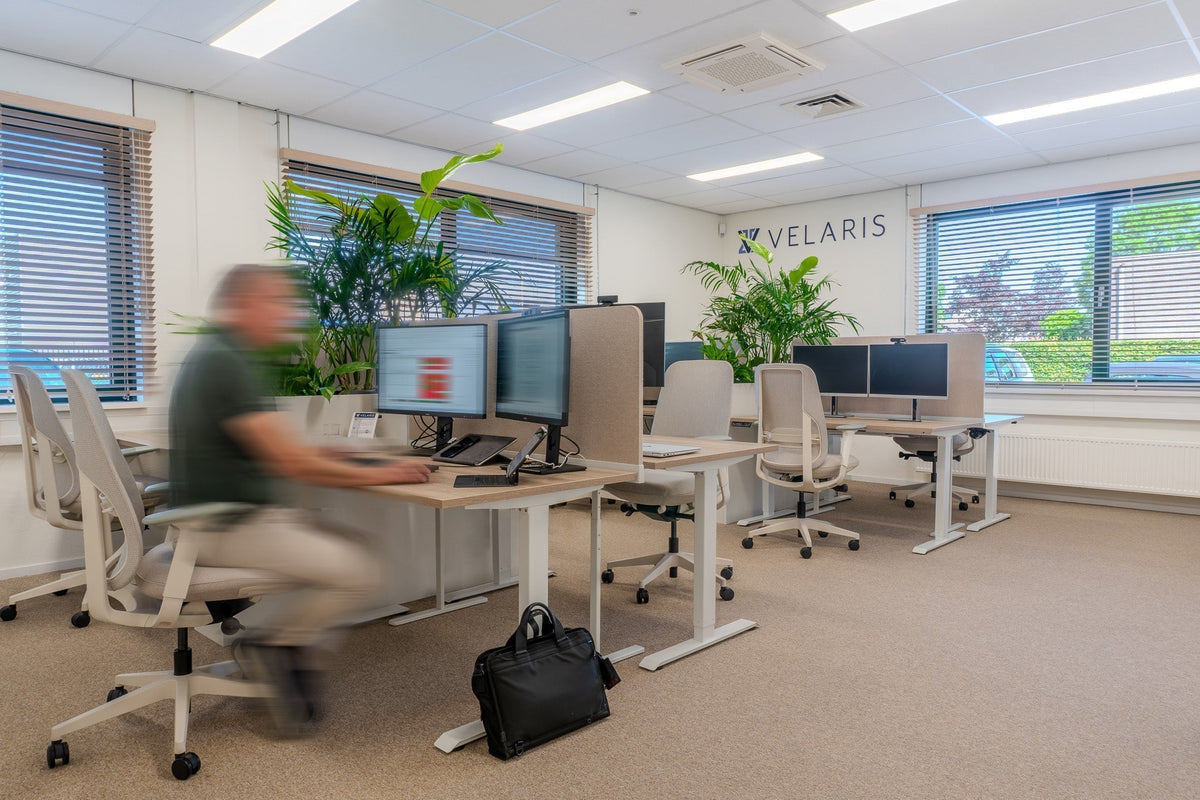 Project: Velaris