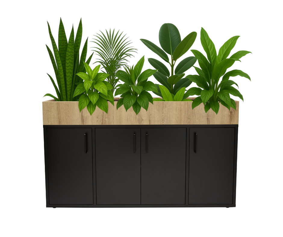 Cabinet with a plant box