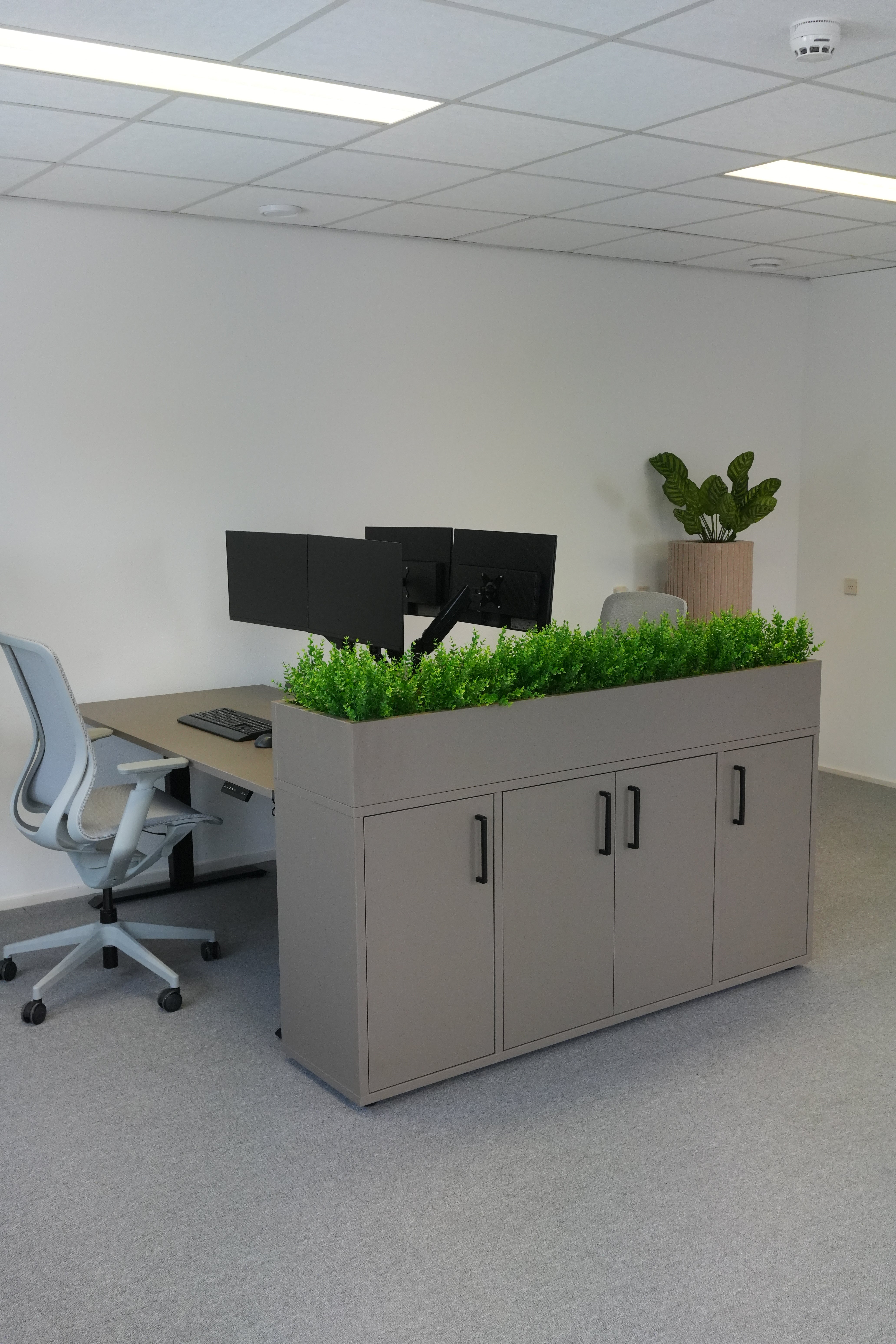 Cabinet with a plant box - Rosa
