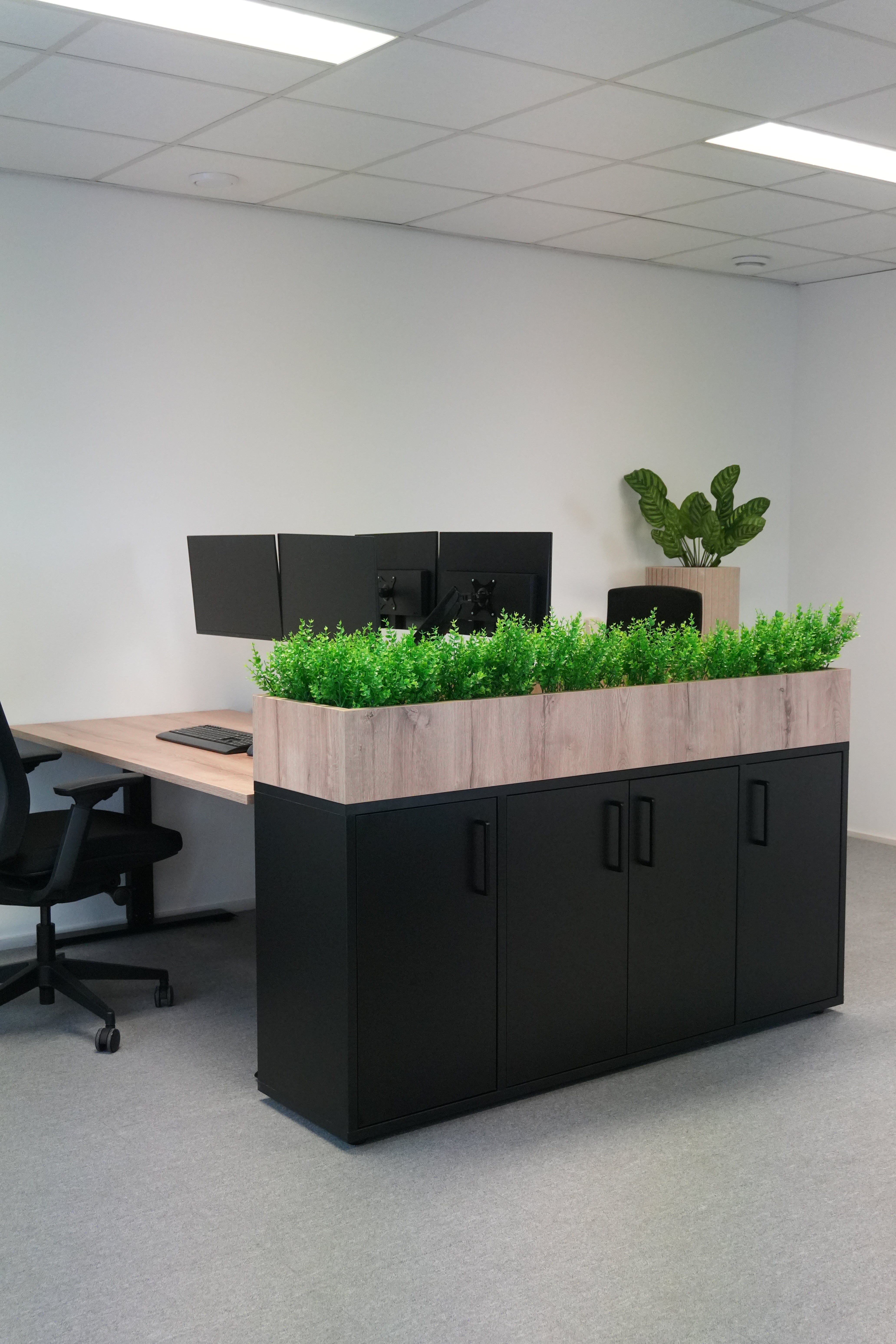 Cabinet with a plant box