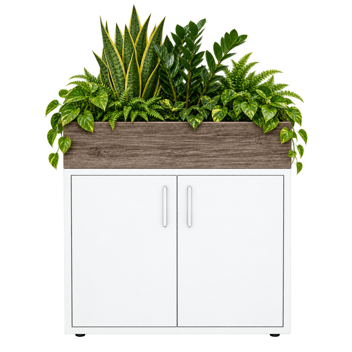 Kast met plantenbak 2 deuren