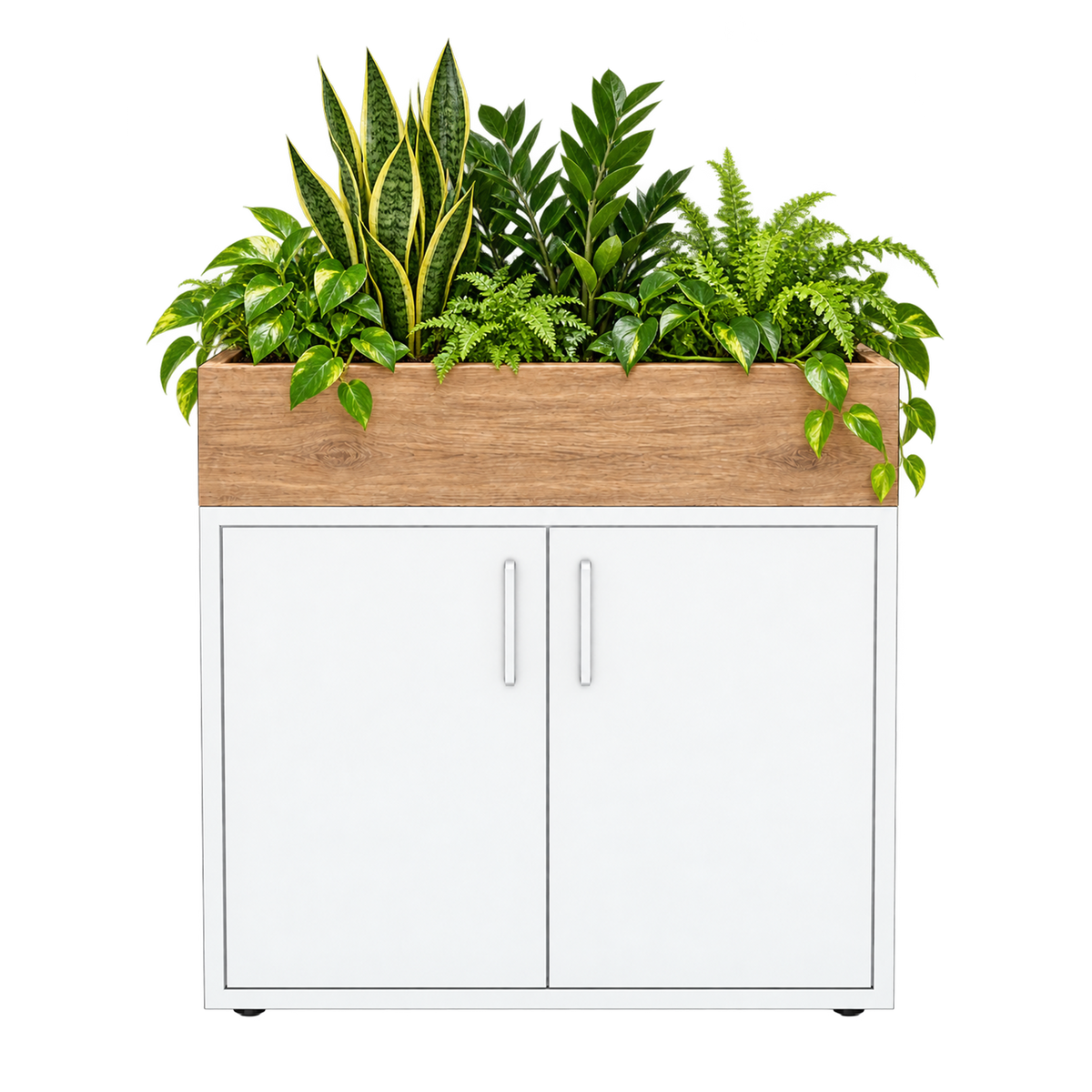Kast met plantenbak 2 deuren