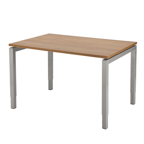 Now Adjustable Desk