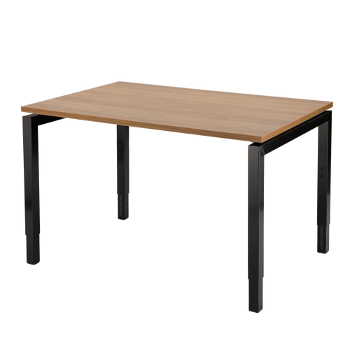 Now Adjustable Desk