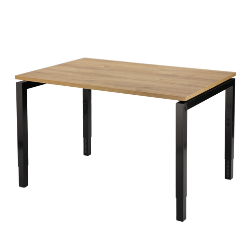 Now Adjustable Desk