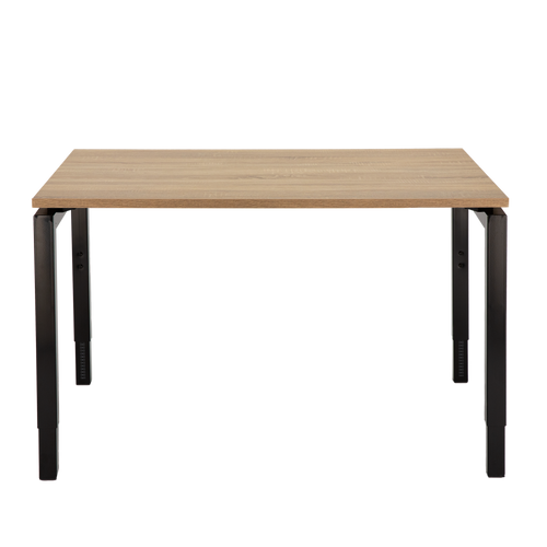 Now Adjustable Desk