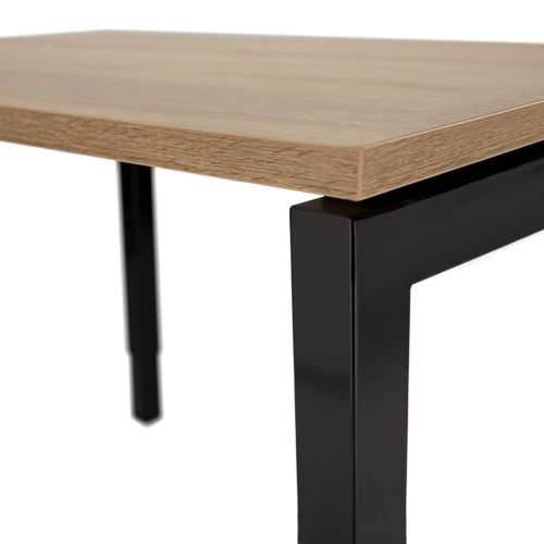 Now Adjustable Desk