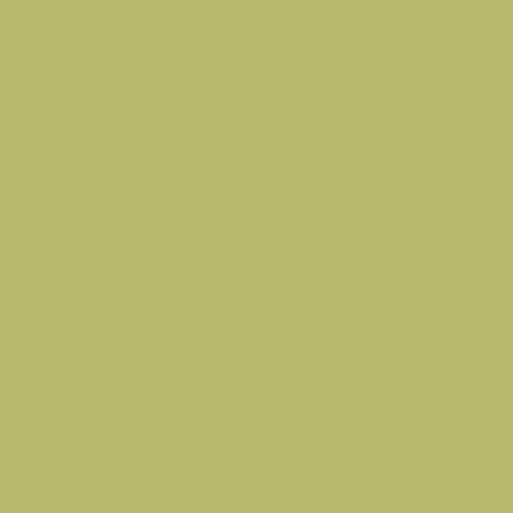 olive-verte