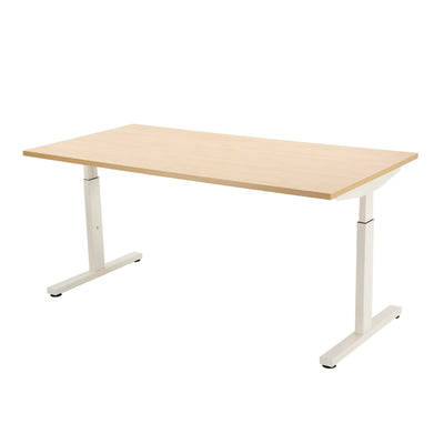 Adjustable Desk Pinta - Refurbished